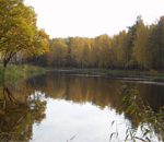 Английский парк